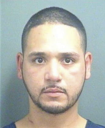 Rafael Fernandeztorres, - Palm Beach County, FL 